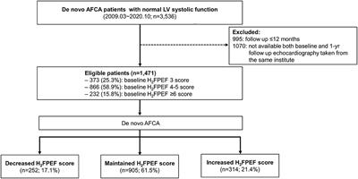 One-Year Change in the H2FPEF Score After Catheter Ablation of Atrial Fibrillation in Patients With a Normal Left Ventricular Systolic Function